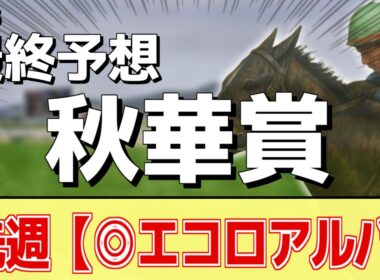 【秋華賞2025】"穴馬"を狙う！追い切りから買いたい1頭！