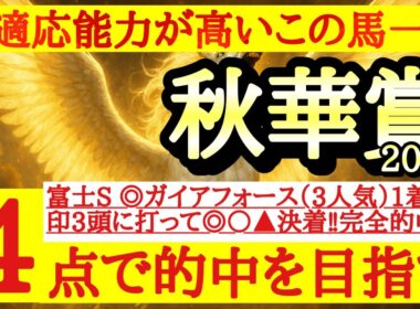 【秋華賞2025】最終予想＆買い目公開！◎堂々の中心視！紐荒れあるぞ！