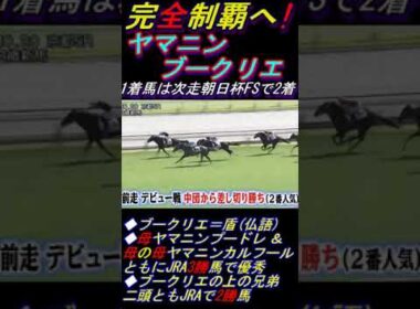 【完全制覇ねらう武豊がヤマニンブークリエの前走振り返る】｢2走目なら及第点｣ #武豊 #ヤマニンブークリエ #ホープフルS