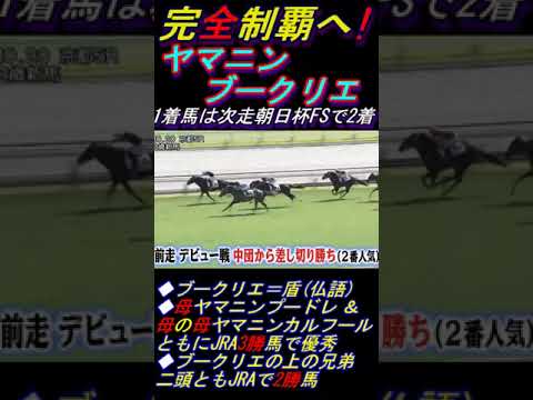 【完全制覇ねらう武豊がヤマニンブークリエの前走振り返る】｢2走目なら及第点｣ #武豊 #ヤマニンブークリエ #ホープフルS