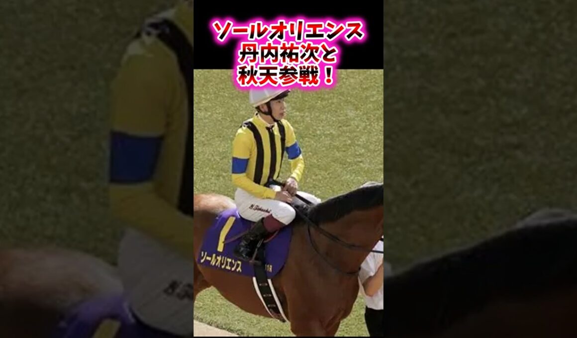 ソールオリエンス、丹内祐次と秋天参戦！【競馬反応集】#天皇賞秋　#ソールオリエンス　#丹内祐次