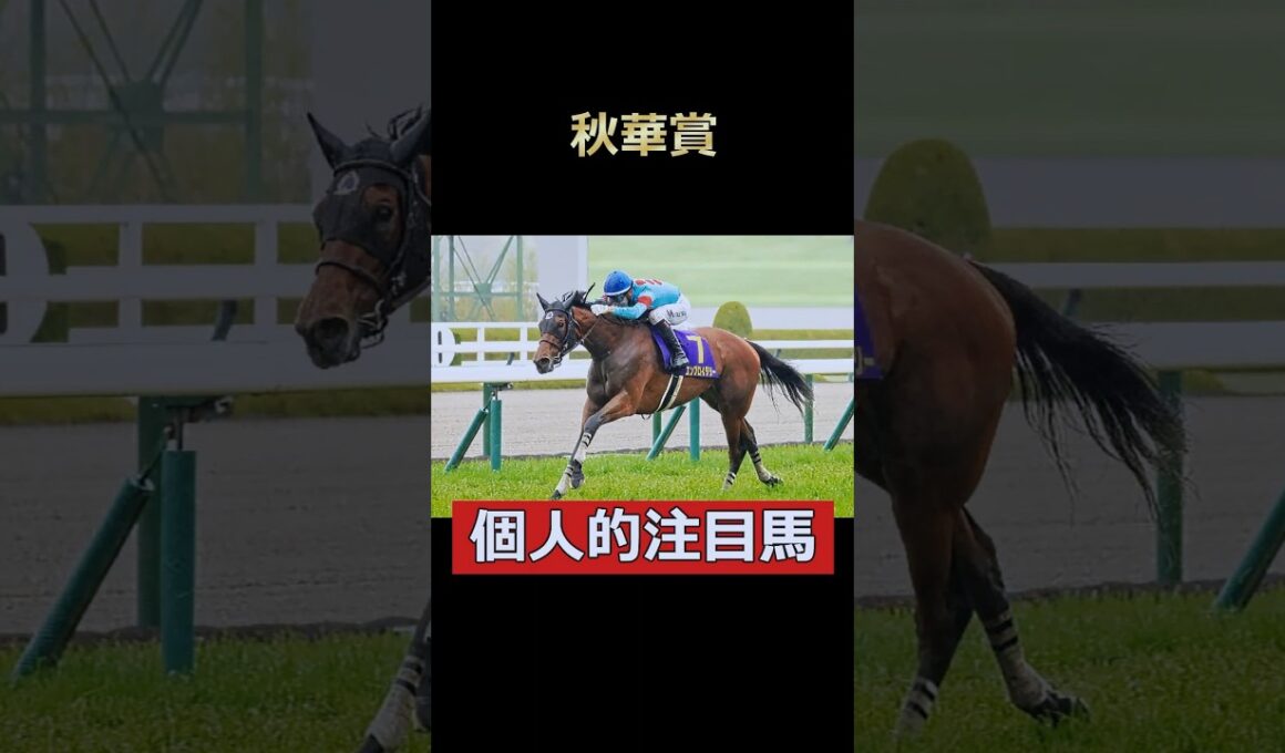 桜花賞馬がいざ2冠！エンブロイダリー！ #競馬 #秋華賞