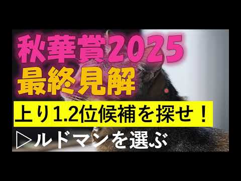 秋華賞2025　最終見解
