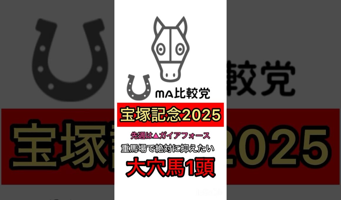 【宝塚記念2025】重馬場で絶対に抑えたい大穴馬1頭、ボルドグフーシュ