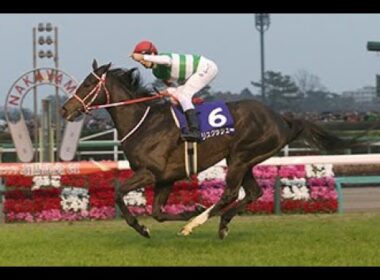 2019　有馬記念 GⅠ　リスグラシュー　D レーン