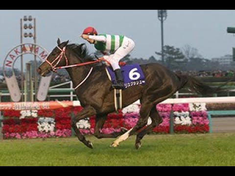 2019　有馬記念 GⅠ　リスグラシュー　D レーン