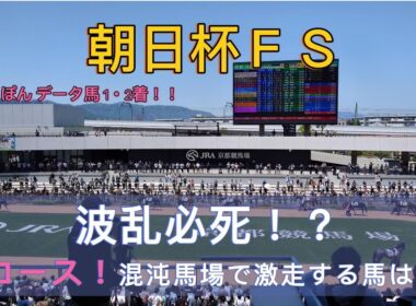 【朝日杯フューチュリティステークス2024 競馬予想】次回的中！？競馬スタンバイ。