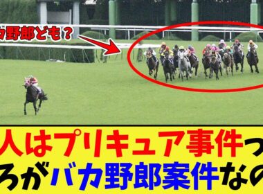 【競馬】二人はプリキュア事件って後ろの馬たちみんなバカ野郎案件なのか？に対する反応集【競馬の反応集】