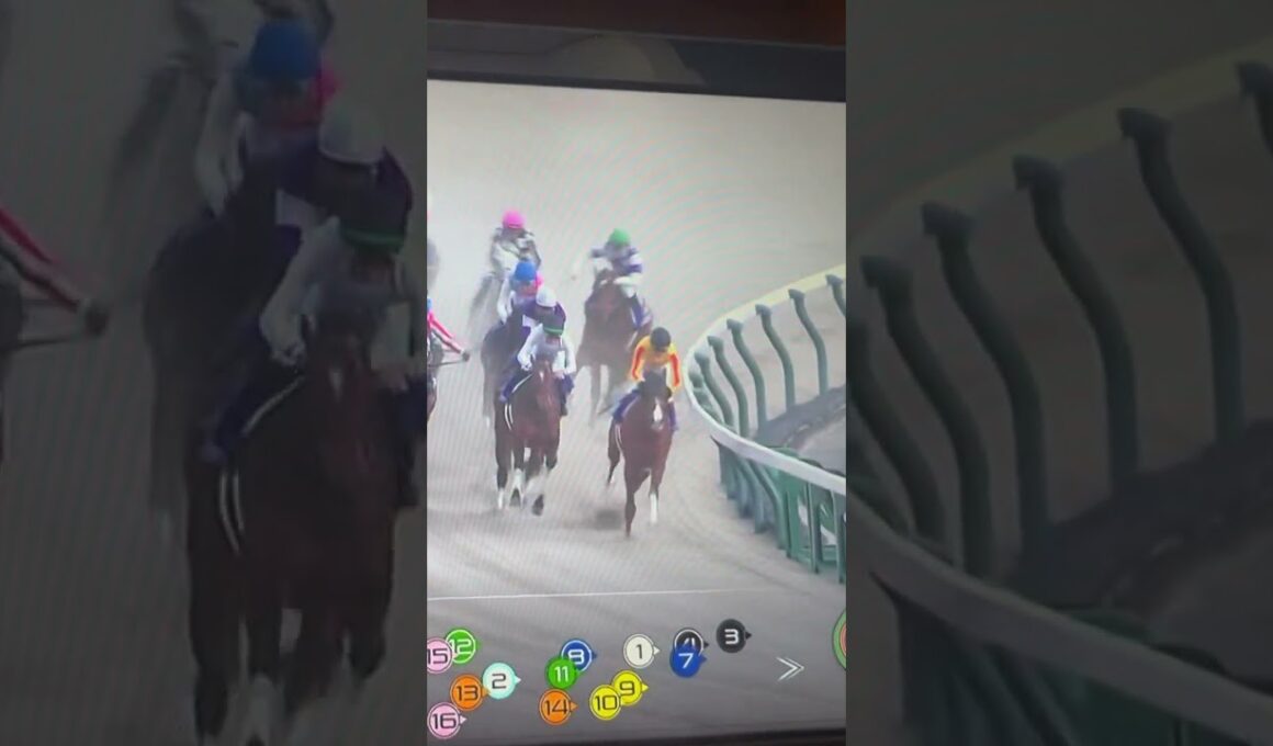 フェブラリーステークスで12番を本気で応援した結果...