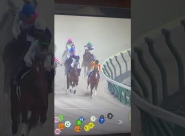 フェブラリーステークスで12番を本気で応援した結果...