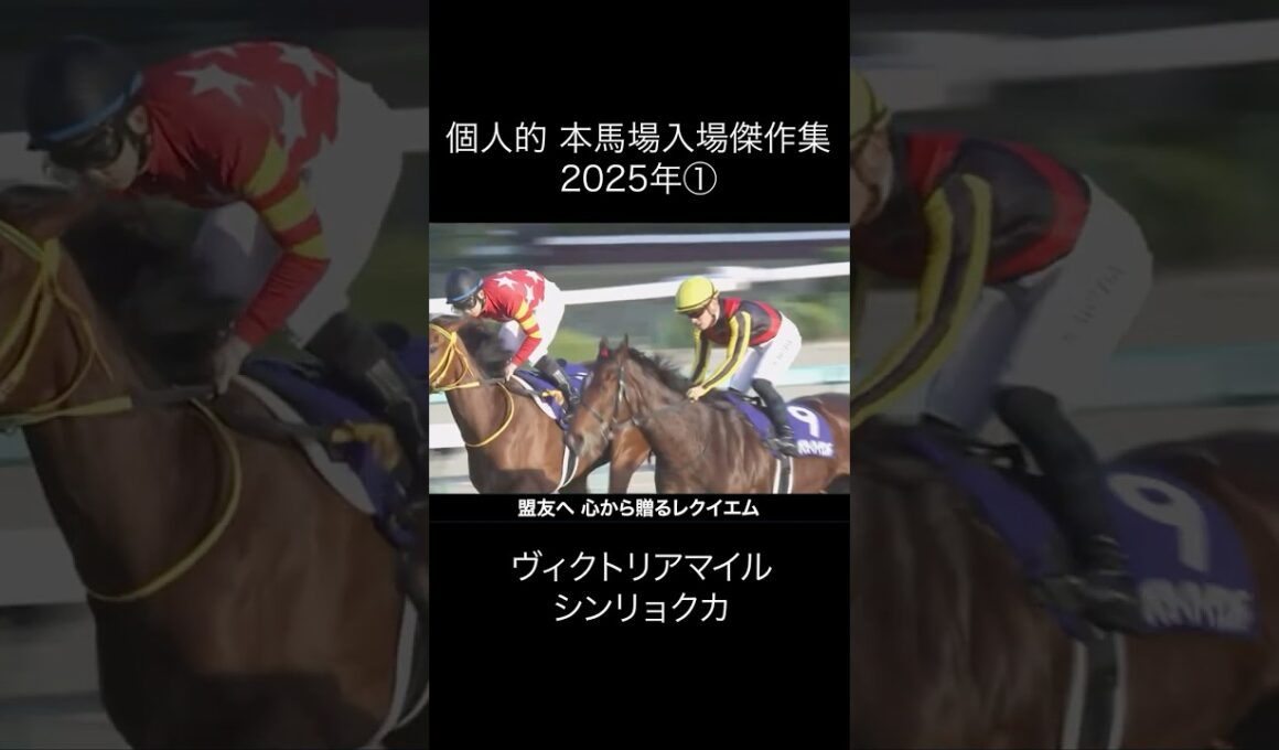 本馬場入場傑作集 2025年 第1弾