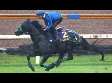 ジャスティンパレス年内で引退　秋は天皇賞→ジャパンC→有馬記念の3戦予定　23年の天皇賞・春王者