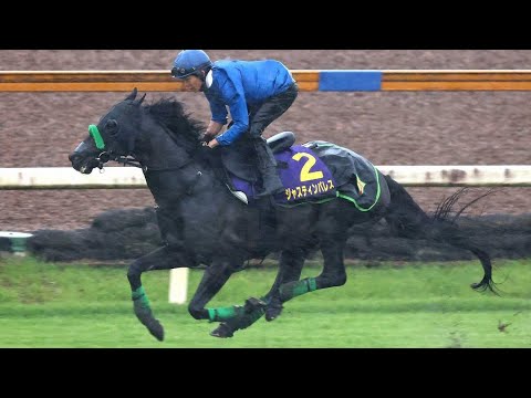 ジャスティンパレス年内で引退　秋は天皇賞→ジャパンC→有馬記念の3戦予定　23年の天皇賞・春王者