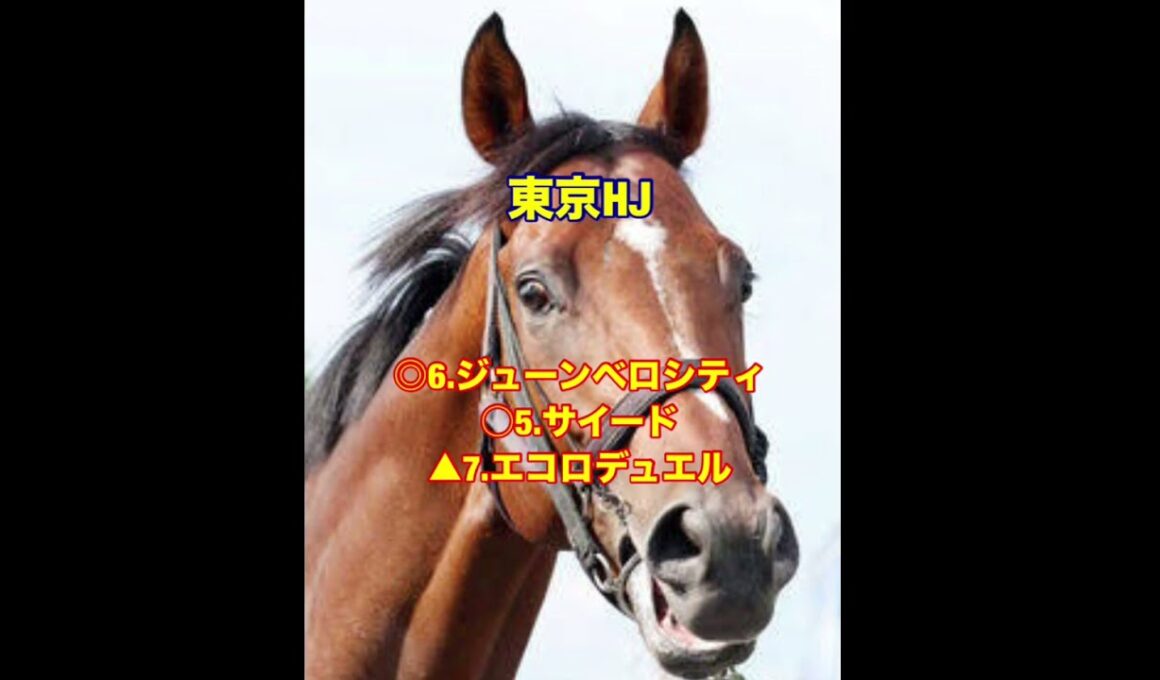 10/18.19 #秋華賞 #富士ステークス #富士s #東京ハイジャンプ #東京hj #重賞予想 #重賞 #競馬 #g1 #クライマックスシリーズ #サヨナラホームラン #天皇賞秋