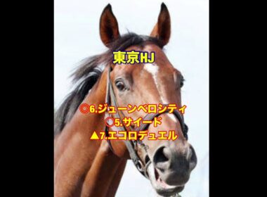 10/18.19 #秋華賞 #富士ステークス #富士s #東京ハイジャンプ #東京hj #重賞予想 #重賞 #競馬 #g1 #クライマックスシリーズ #サヨナラホームラン #天皇賞秋