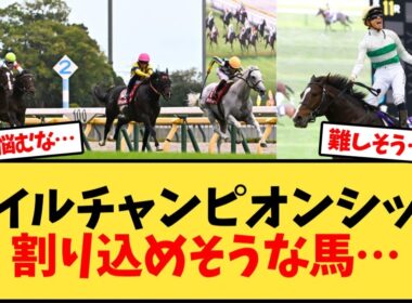 マイルチャンピオンシップ 割り込めそうな馬…【競馬反応集】