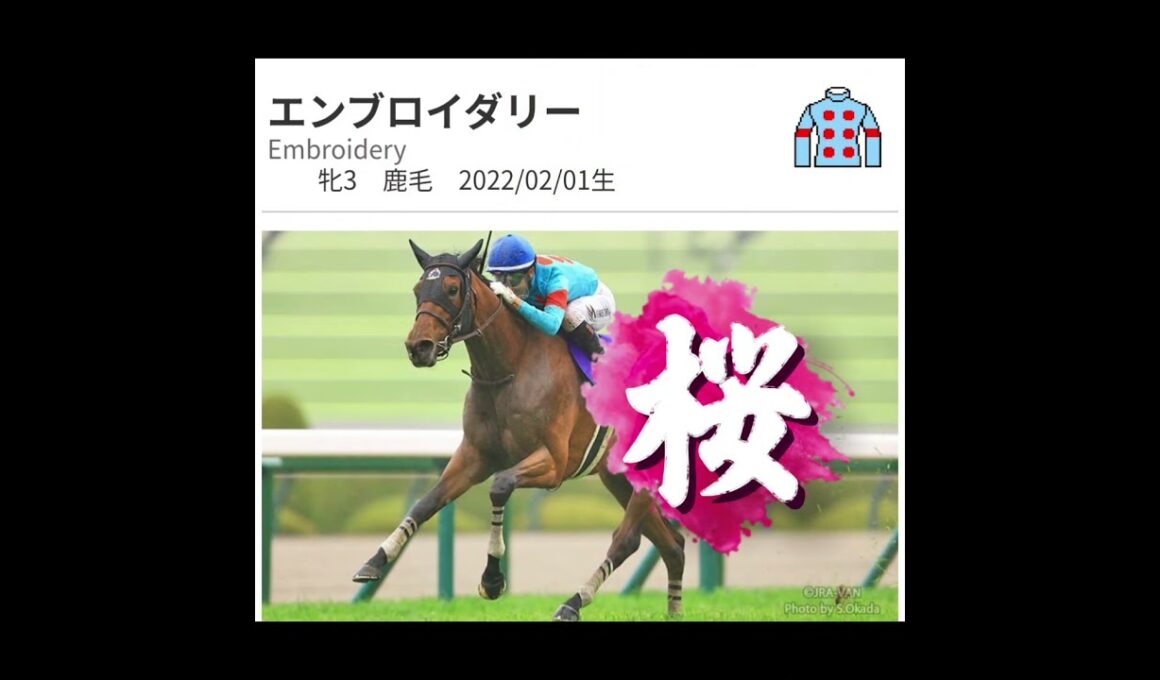 秋華賞🍁2025　桜か樫かどっちが勝つか貴方の予想教えて下され