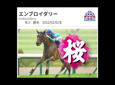 秋華賞🍁2025　桜か樫かどっちが勝つか貴方の予想教えて下され