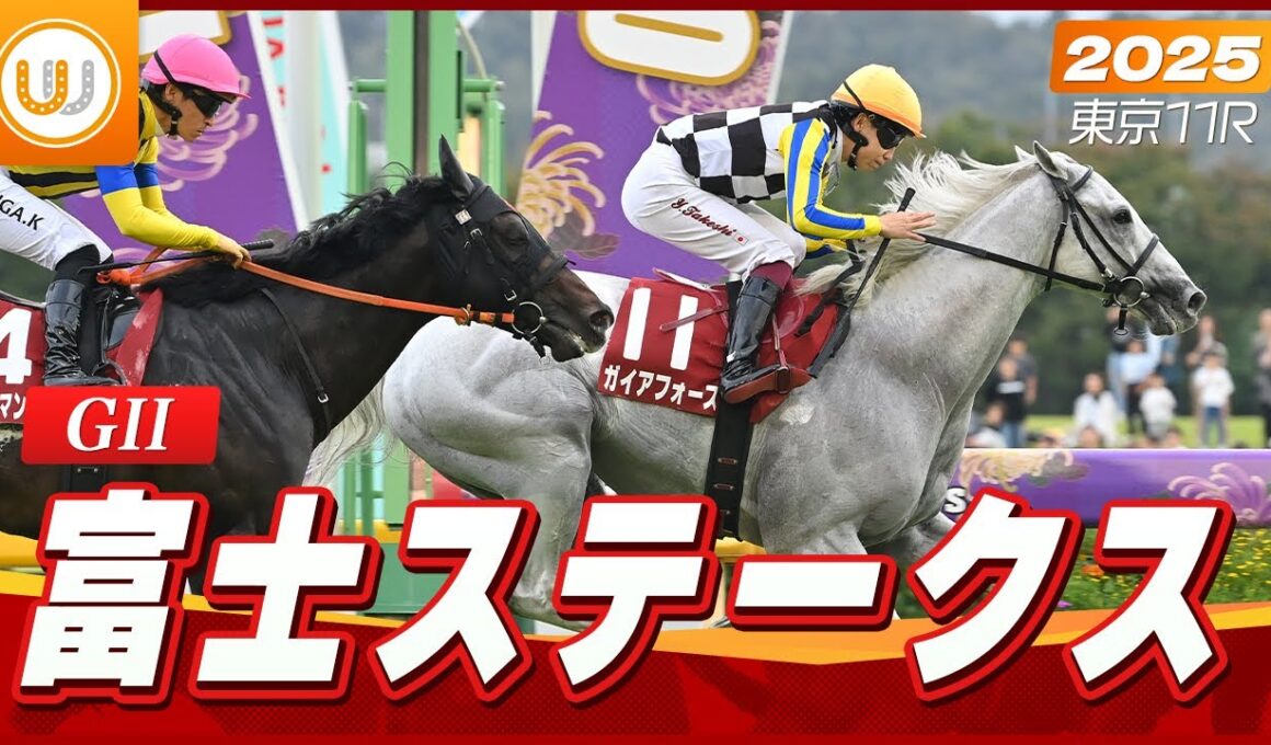 【レース映像】東京11R  富士ステークス｜ガイアフォース（横山武史）｜ウイニング競馬