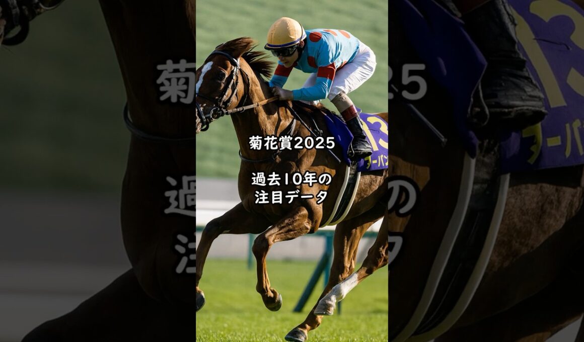 菊花賞2025 過去10年の注目データ 近年最注目の好走データとは？