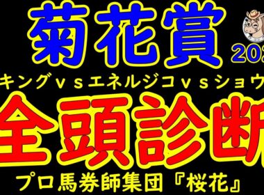 菊花賞2025一週前レース予想全頭診断！ダービー馬や皐月賞馬が不在のレースにて悲願のＧ１勝利を達成したい馬は？神戸新聞杯を勝ったエリキングか？青葉賞馬エネルジコか？京都新聞杯の勝ち馬ショウヘイか！？