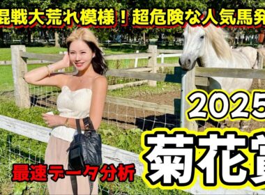 【2025年菊花賞2025】年間回収率190％！過去10年データが示す“買うべき条件”とは？【星野るり】