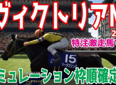 【ヴィクトリアマイル2025】【特注激走馬Ver.】シミュレーション枠順確定版【ドラマチックカメラ】過去大波乱の結果も！おすすめの激走馬を含めたシミュレーション！！【競馬予想】ヴィクトリアM