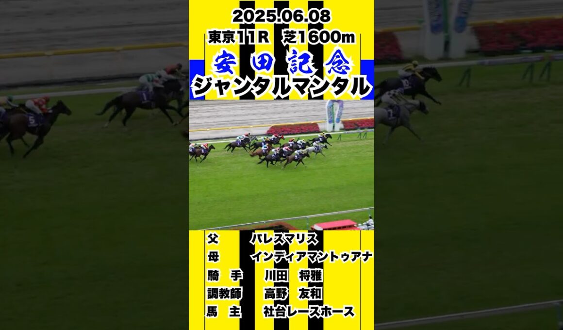 ジャンタルマンタル【安田記念2025】現地撮影