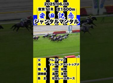 ジャンタルマンタル【安田記念2025】現地撮影