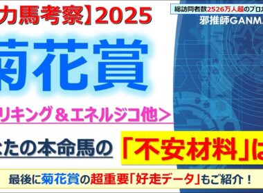 【菊花賞2025 有力馬考察】エリキング＆エネルジコ他 人気馬6頭を徹底考察！