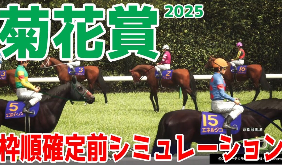 【菊花賞2025】枠順確定前シミュレーション 牡馬三冠最終戦！ダービー馬・皐月賞馬不在の混戦模様！適性を見抜き馬券圏内に来る馬を選出するシミュレーション！！【競馬予想】良・稍重・重・不良