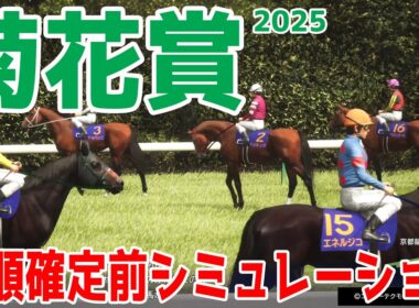 【菊花賞2025】枠順確定前シミュレーション 牡馬三冠最終戦！ダービー馬・皐月賞馬不在の混戦模様！適性を見抜き馬券圏内に来る馬を選出するシミュレーション！！【競馬予想】良・稍重・重・不良