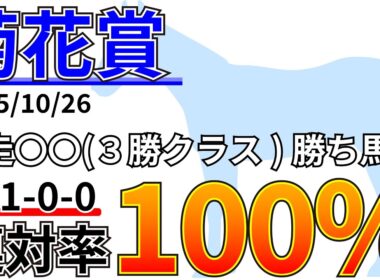 【菊花賞2025】2枠が好成績！？先週の結果&データ&有力馬情報&予想