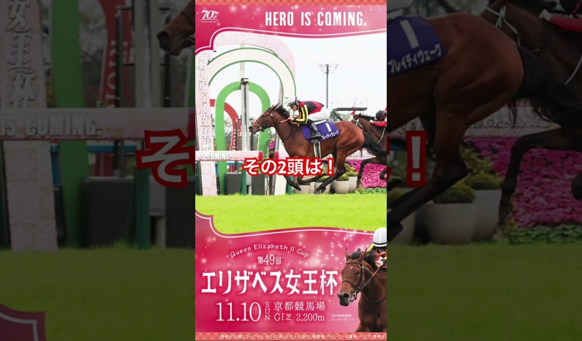 エリザベス女王杯 2024 サイン馬券 決定版！！ #g1  #エリザベス女王杯  #万馬券