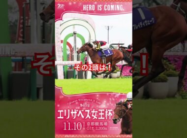 エリザベス女王杯 2024 サイン馬券 決定版！！ #g1  #エリザベス女王杯  #万馬券