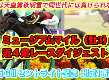 【ミュージアムマイル】GⅡセントライト記念想定1番人気！皐月賞馬の近4走レースダイジェスト