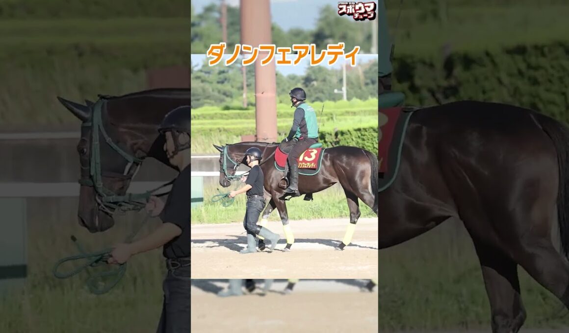 【秋華賞出走予定】ダノンフェアレディ　栗東での様子＃shorts
