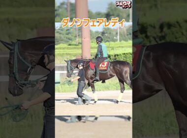 【秋華賞出走予定】ダノンフェアレディ　栗東での様子＃shorts