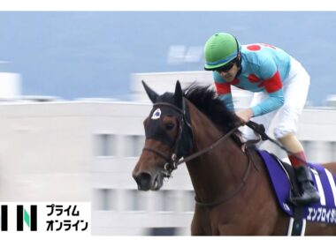【秋華賞・GⅠ】桜花賞馬エンブロイダリーの逆転劇！女王対決制し2冠達成！WIN5は史上最高額の5億6千万円超え！