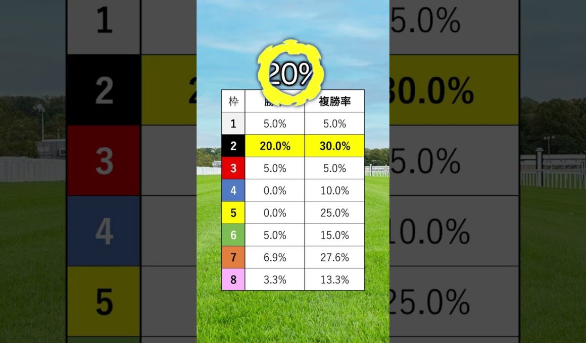 【菊花賞2025】菊花賞を当てたい人は見るべし！#競馬 #菊花賞2025 #菊花賞 #shorts