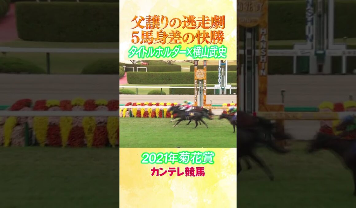 #競馬 #菊花賞 #タイトルホルダー  #横山武史