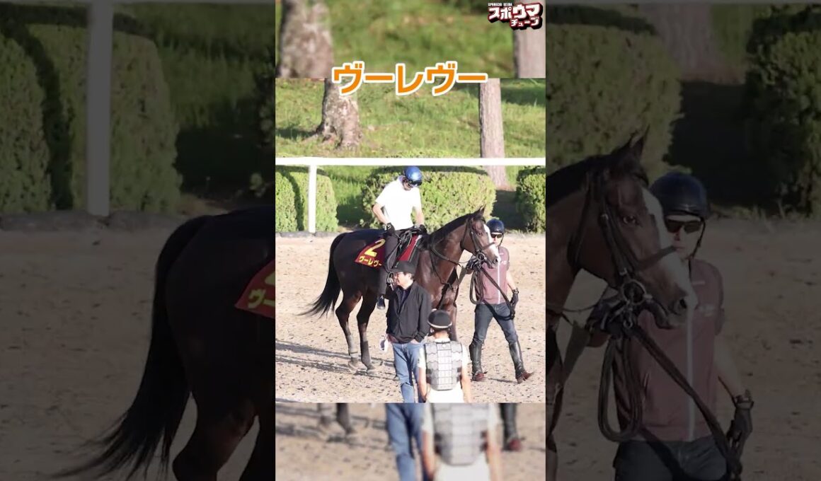 【秋華賞出走予定】ヴーレヴー　栗東での様子＃shorts