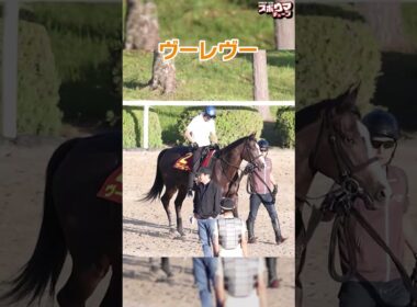 【秋華賞出走予定】ヴーレヴー　栗東での様子＃shorts