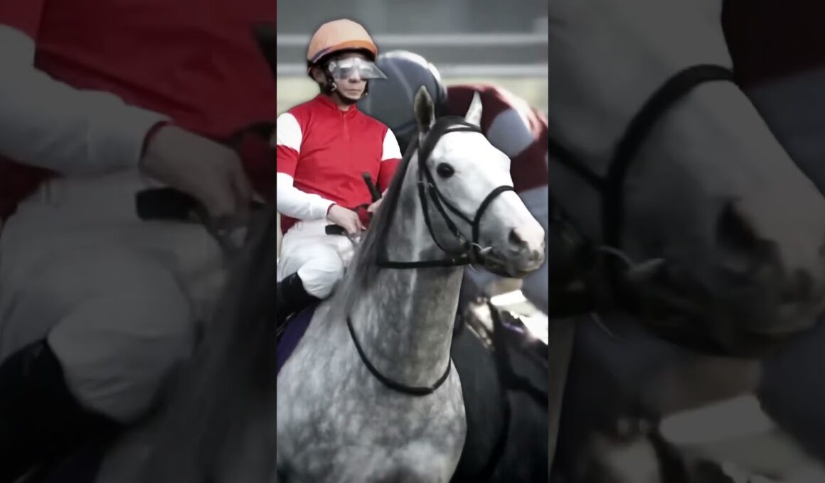 Gold Ship Edit #edit #goldship