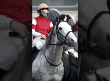 Gold Ship Edit #edit #goldship