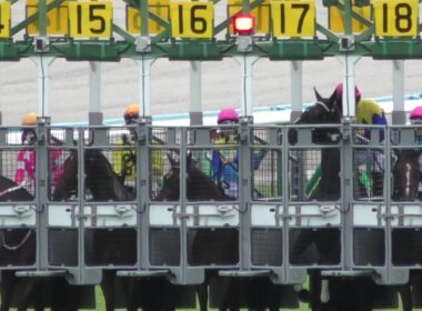 カムニャック、ゲート内で暴れる。エンブロイダリーが秋華賞勝利。現地映像、京都競馬場。２０２５年１０月１９日。