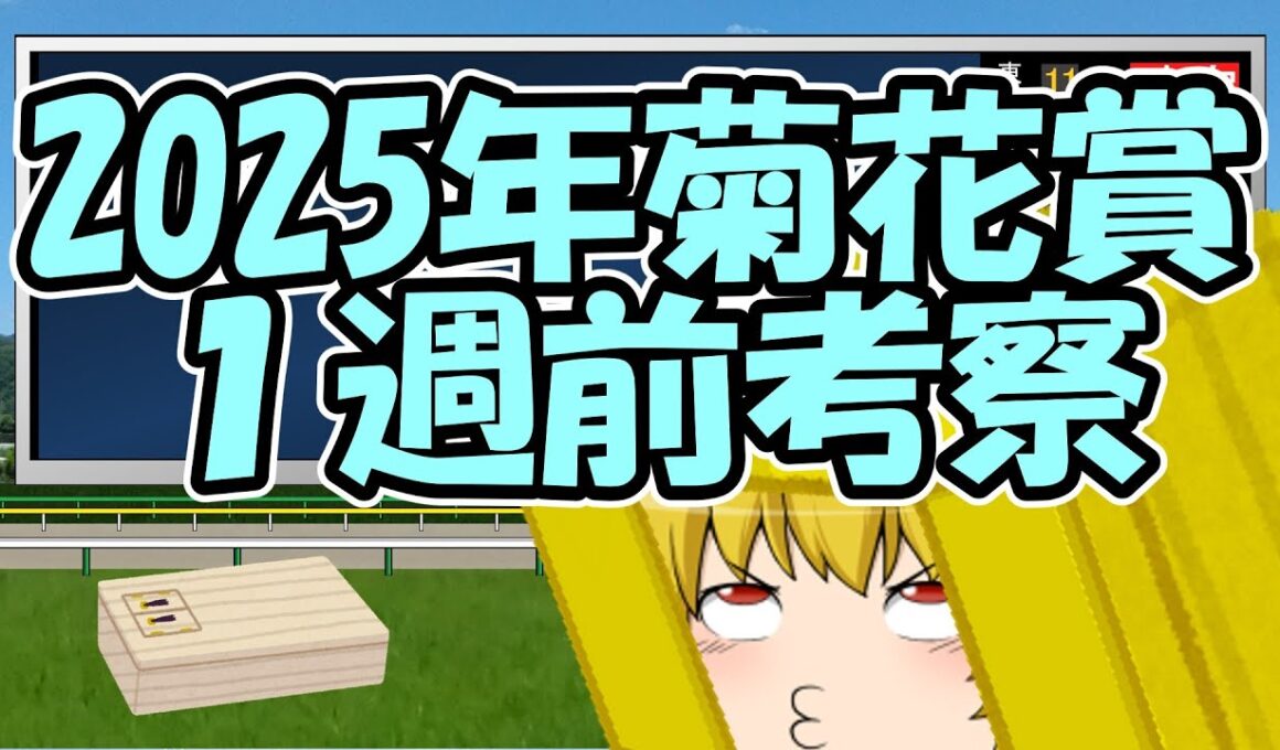 菊花賞1週前考察