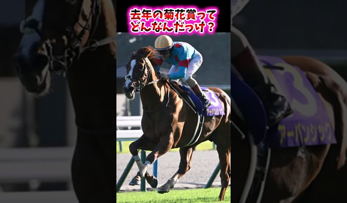 去年の菊花賞ってどんなんだっけ？【競馬反応集】　#菊花賞 #アーバンシック #ダノンデサイル