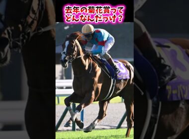 去年の菊花賞ってどんなんだっけ？【競馬反応集】　#菊花賞 #アーバンシック #ダノンデサイル