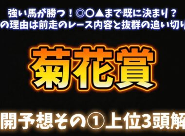 菊花賞展望予想その①